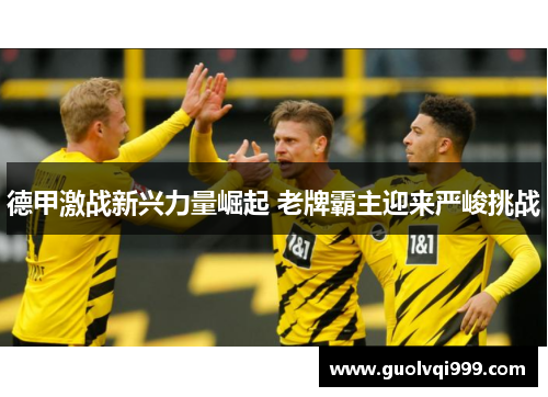 德甲激战新兴力量崛起 老牌霸主迎来严峻挑战 德甲激战新兴力量崛起 老牌霸主迎来严峻挑战