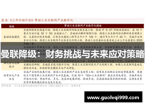 曼联降级：财务挑战与未来应对策略